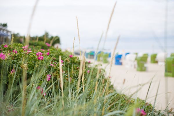  Gästehaus Matzen Whg. Sylt  - 