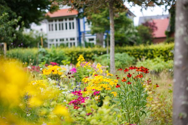  Gästehaus Matzen Whg. Sylt  - 