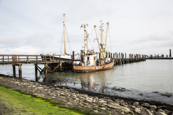  Gästehaus Matzen Whg. Sylt  - 