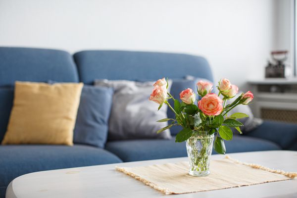  Habel Whg. 20 Meerblick Föhr  Die Grüne Insel - 