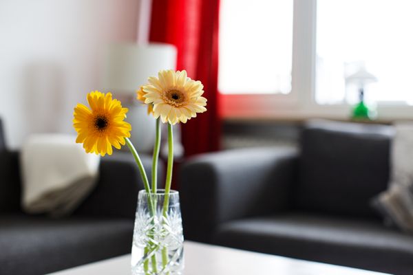 Haus Uthlande Uthlande Whg. 22  Seeluft Föhr  Die Grüne Insel - 