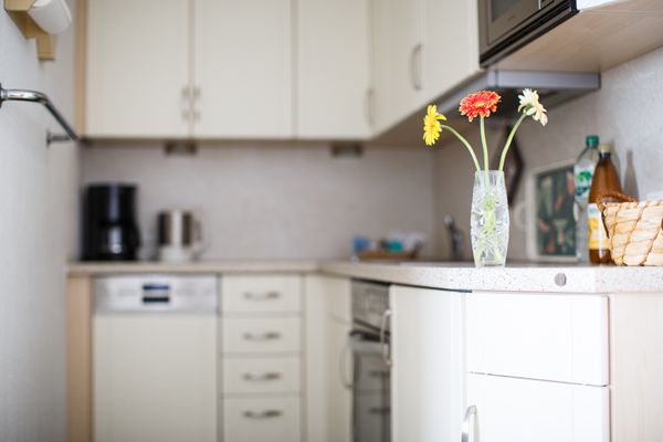 Haus Uthlande Uthlande Whg. 22  Seeluft Föhr  Die Grüne Insel - 