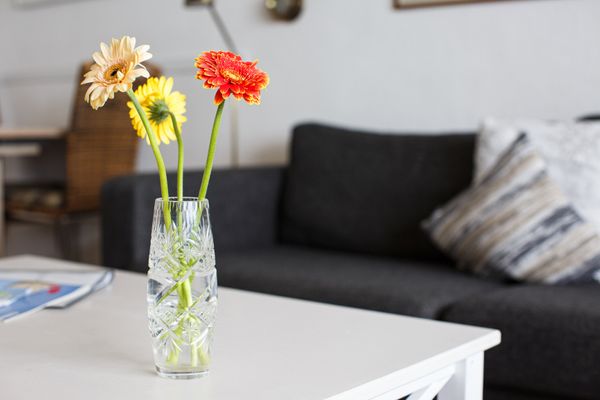 Haus Uthlande Uthlande Whg. 22  Seeluft Föhr  Die Grüne Insel - 