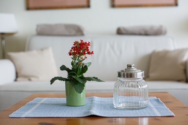  Klaar Kimming Föhr  Die Grüne Insel - 