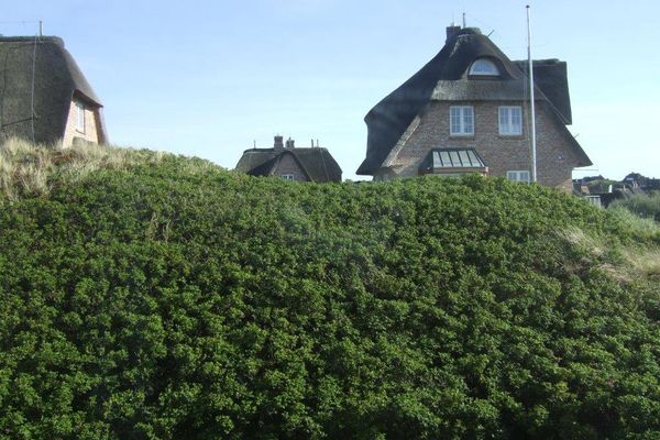 Apartment Pia Rantum - 