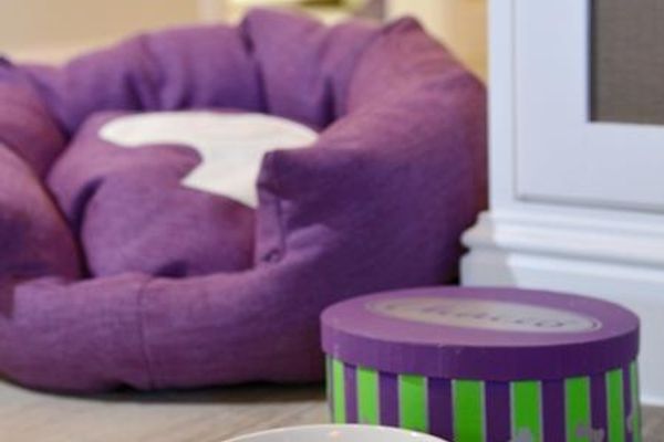 Apartment Pia Rantum - 