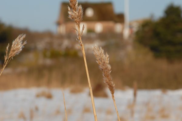 Die kleine Wittburg Rantum -