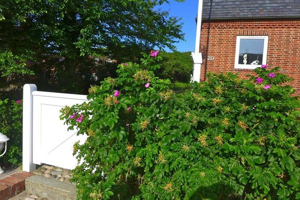 Marmelbloom Rantum - 