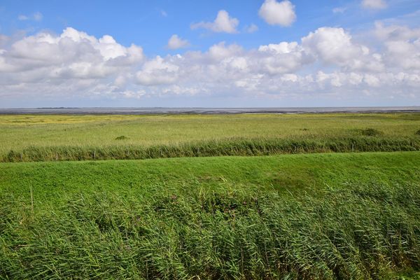 Hüs Thora Jaiken, Apart. Birthe Rantum - 