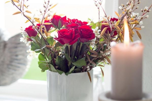 "Nautica" SO/22 Rantum - 