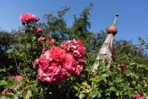 Reetdachhaus Meerzeit Reetdachhaus Meerzeit SPO Boehl - 