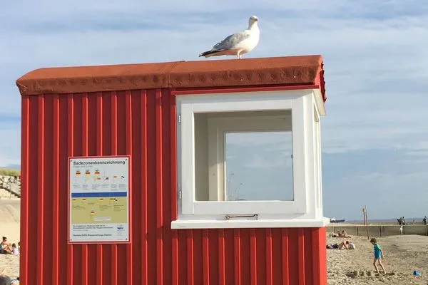 Strand Haus Richthofenstraße 20 e Ferienwohnung Dünenwind