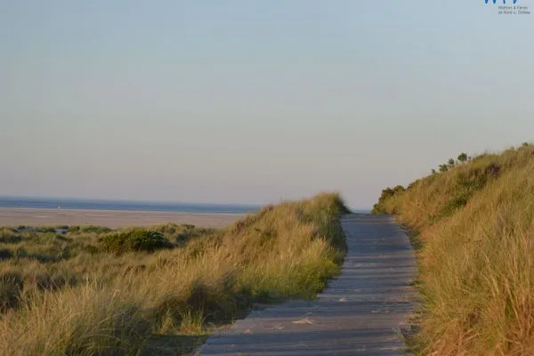 Landschaft Ferienhaus Strandstraße 41 Ferienwohnung Strandkorb Nr. 5