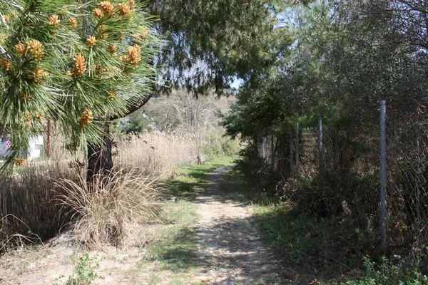 Beach access  Spathies 3