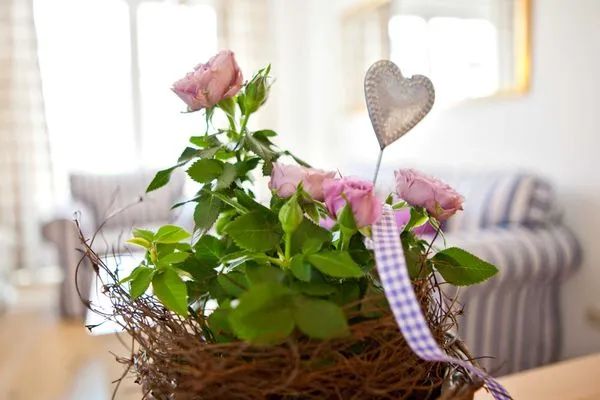 Dekoratives Detail  (ARW3) Ferienwohnung Kossmann 1