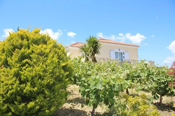 Main view  Orfanos 2