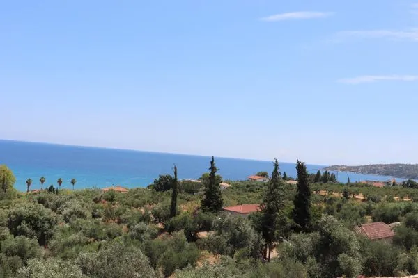 Meerblick  Anastassia OG