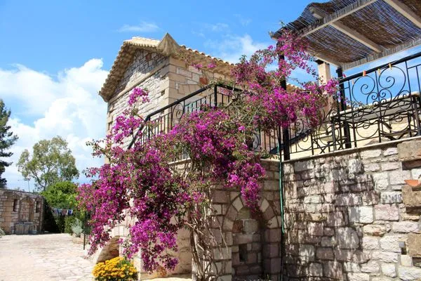 Hauptansicht  Margarita