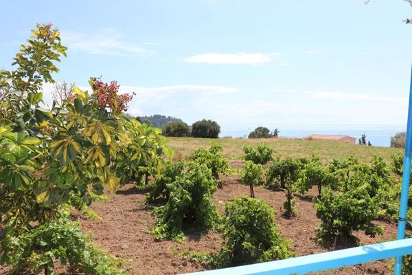 Gartenblick  Bizos Beach