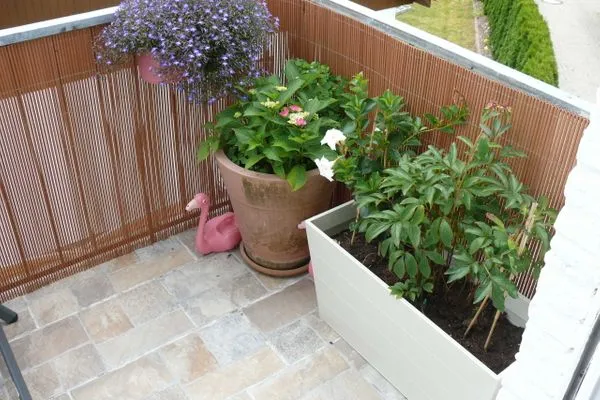 Terrasse  (WIK 7b)  Ferienwohnung "Topp 2"