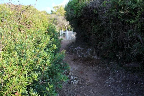 Beach access  Matina 2