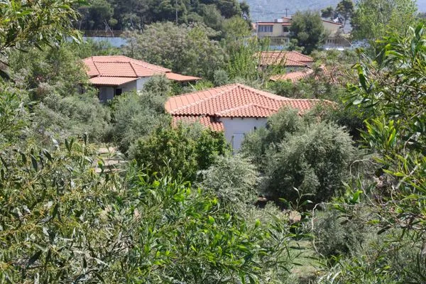 Neighbourhood  Nikos 10