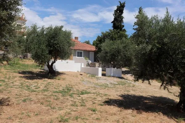 Main view  Rigotis 1