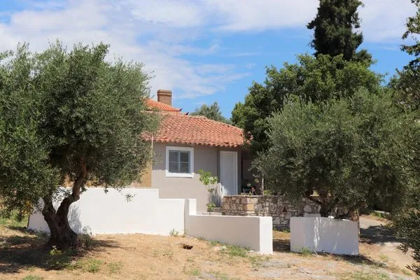 Main view  Rigotis 1