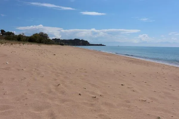 Strand  Anastassia OG