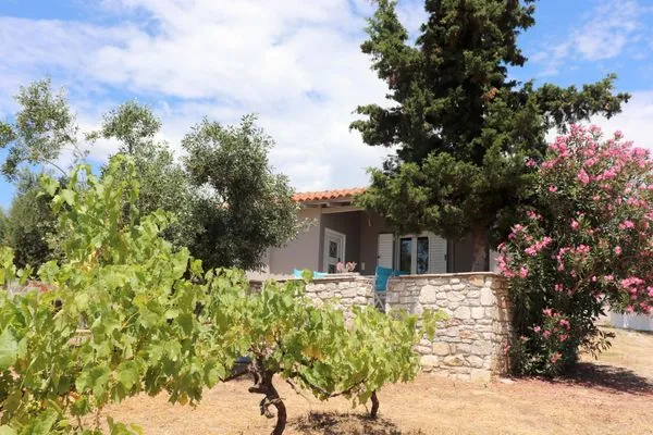 Hauptansicht  Rigotis 2