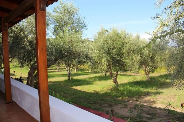 Terrasse  Nikos Kastro 3