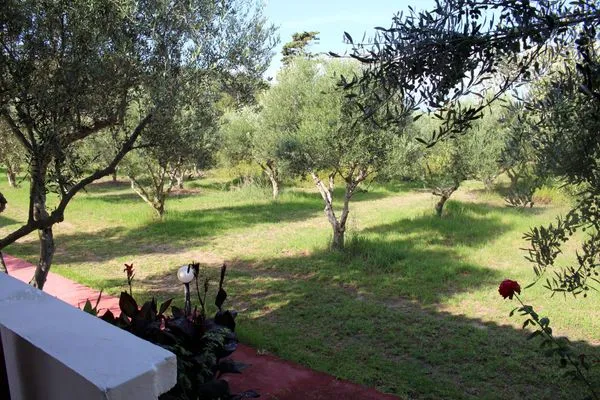 Garten  Nikos Kastro 3