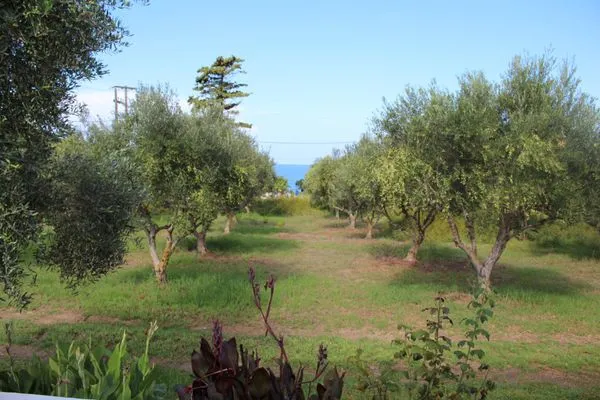 Sea view  Nikos Kastro 4