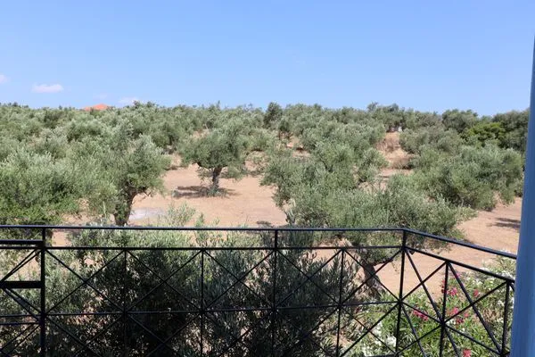 Gartenblick  Spourgitis 4a