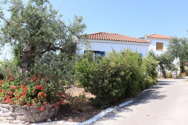 Hauptansicht  Spourgitis 2a