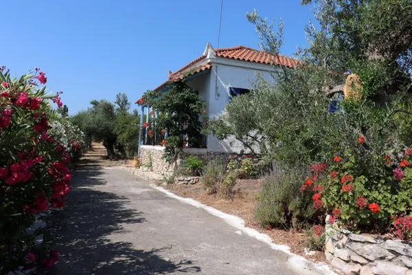 Hauptansicht  Spourgitis 2a