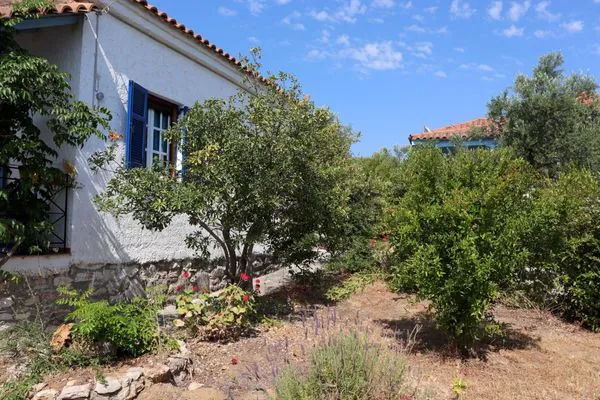 Hauptansicht  Spourgitis 2a