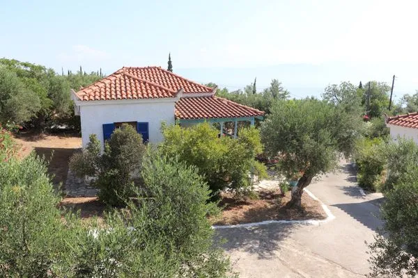 Bird's eye view  Spourgitis 1a