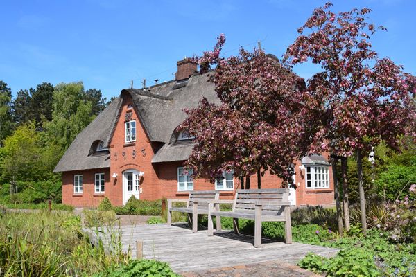 Friesenhof Whg. 11 Amrum - Gartenblick