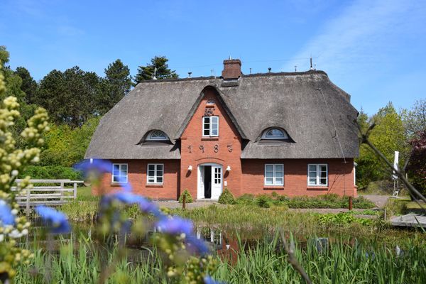 Friesenhof Whg. 22 Amrum - Gartenblick