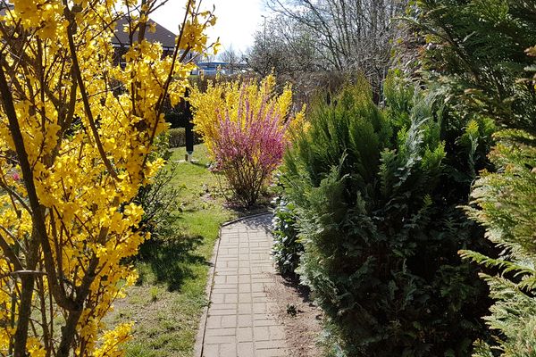  Holm Kühlungsborn - Garten