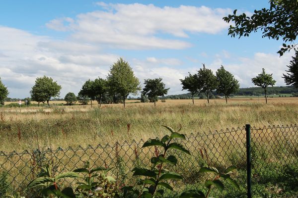  Zelk Kühlungsborn - Landschaft
