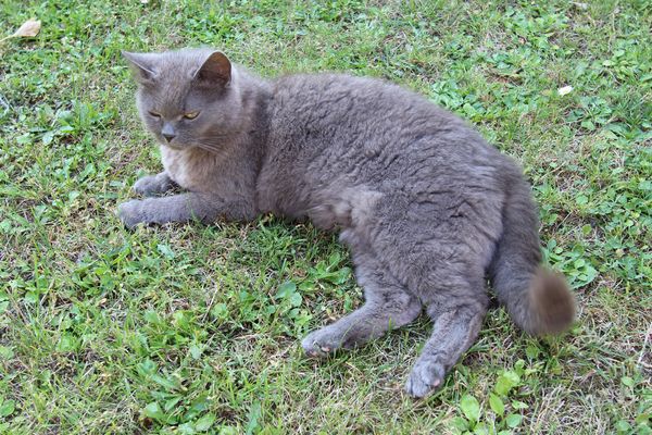  Zelk Kühlungsborn - Dekoratives Detail