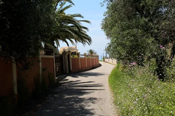 Strandz  Jasmin Skidi