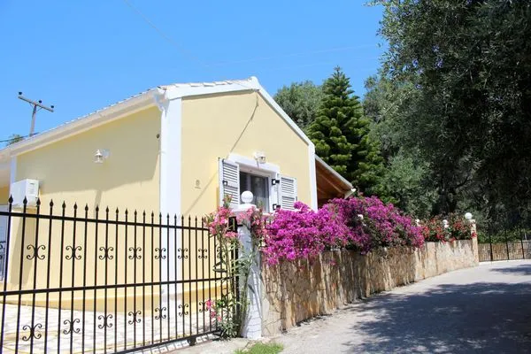 Hauptansicht  Jasmin Skidi