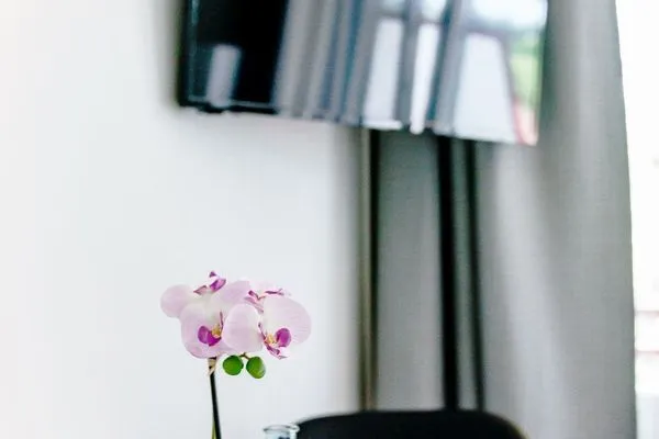  Haus Vier Jahreszeiten am See Kranichblick Suite 337