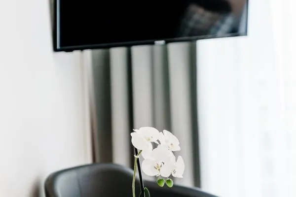  Haus Vier Jahreszeiten am See Apartment 338