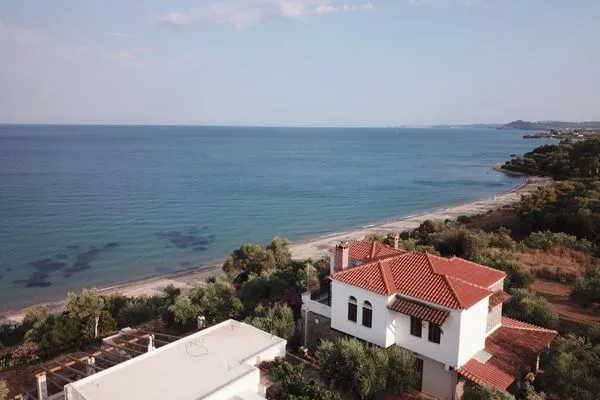 Vogelperspektive  Blue Fox 1