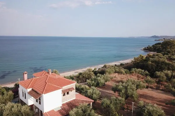 Vogelperspektive  Blue Fox 1