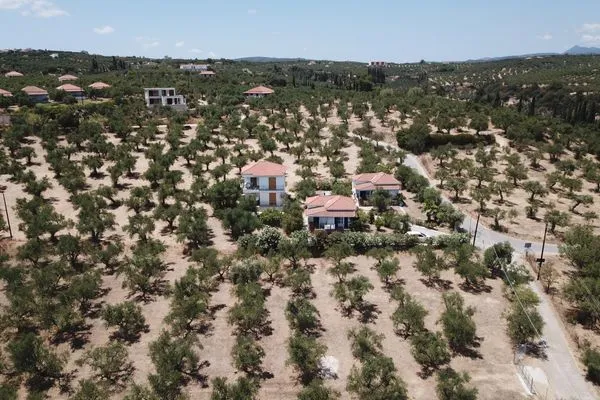 Bird's eye view  Spourgitis 3a